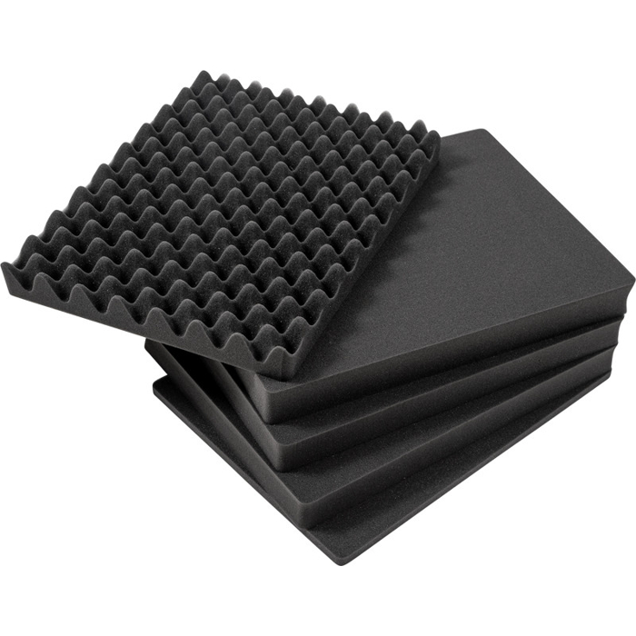 BW Outdoor Cases Pre-Cut Foam /SI for type 3000 (Černá)