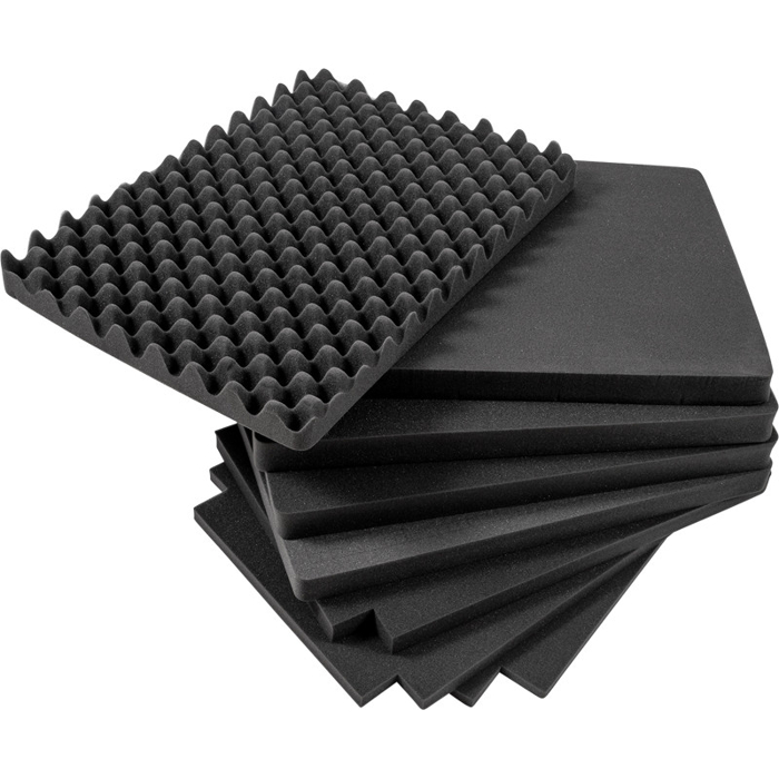 BW Outdoor Cases Pre-Cut Foam /SI for type 6800 (Černá)