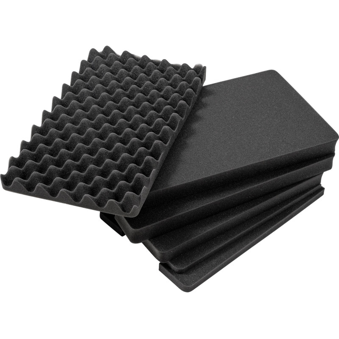 BW Outdoor Cases Pre-Cut Foam /SI for type 6600 (Černá)