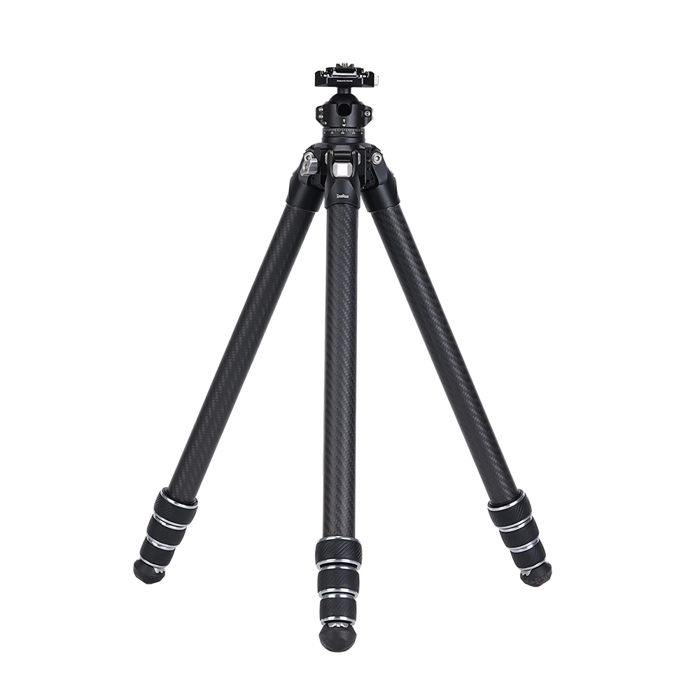 Falcam TreeRoot Quick Lock Lite Tripod T00A4903