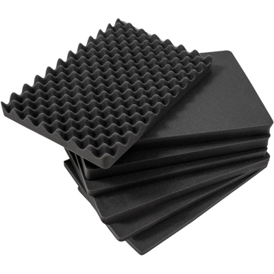 BW Outdoor Cases Pre-Cut Foam /SI for type 5500 (Černá)