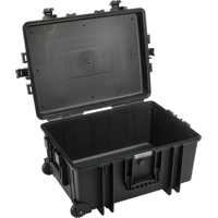 BW Outdoor Cases Type 6800 / Black (empty) (Černá)