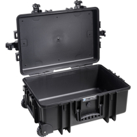 BW Outdoor Cases Type 6700 / Black (empty) (Černá)