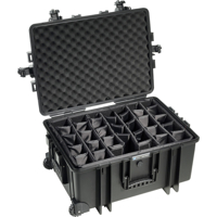 BW Outdoor Cases Type 6800 / Black (divider system) (Černá)