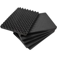 BW Outdoor Cases Pre-Cut Foam /SI for type 6500 (Černá)