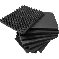 BW Outdoor Cases Pre-Cut Foam /SI for type 6800 (Černá)