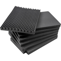 BW Outdoor Cases Pre-Cut Foam /SI for type 7800 (Černá)