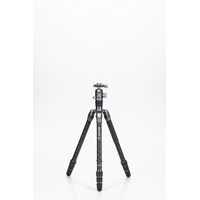 Benro statyw Rhino 24C+VX25 (24C+VX25)
