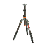 3 Legged Thing Legends Ray Tripod in Grey (šedá)