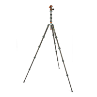 3 Legged Thing Legends Bucky Tripod with AirHed VU in Grey (šedá s hlavou)