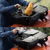 PGYTECH OnePro Flex Backpack 40Lï¼Space Blackï¼+ Camera Insert M