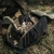 PGYTECH OnePro ST Backpack (Night Camo)