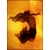 Blaster Creative Kit   Backdrops (|23)