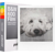 POLAROID B&W FILM FOR 600