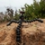 JOBY GorillaPod 1K Gen 2 Tripod
