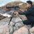 Ulanzi VideoFast Carbon Heavy Duty Tripod Kit