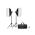 B STOCK   Godox MS300V F Dual Studio Flash Kit